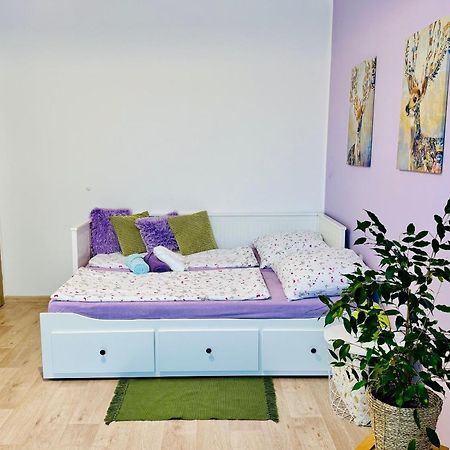Garsonka Ve Dvore Dvůr Králové nad Labem Eksteriør billede